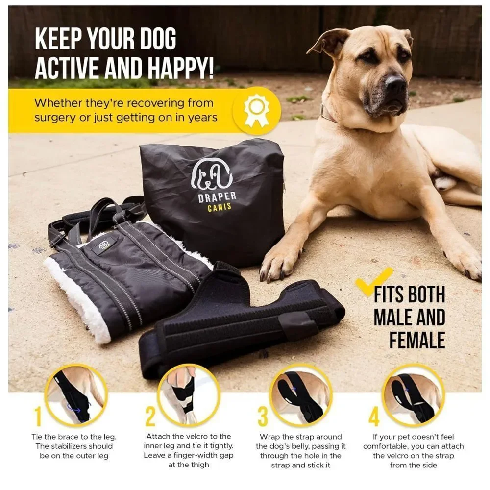 Dog Knee Brace for Torn ACL Hind Leg with Injury‎ Dog Sling Harness size S
